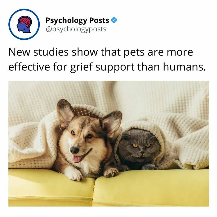 This Instagram Page Shares Fascinating Psychological Facts And Here’re 50 Of The Most Interesting Ones