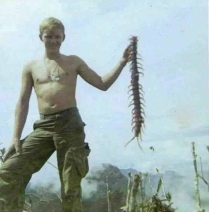 A United States Soldier Holds Up A Giant Jungle Centipede During The Vietnam War, 1967