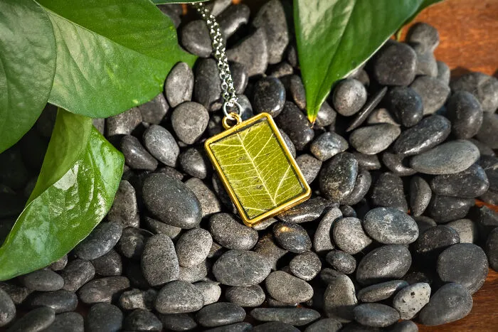 Leaf From My Walks