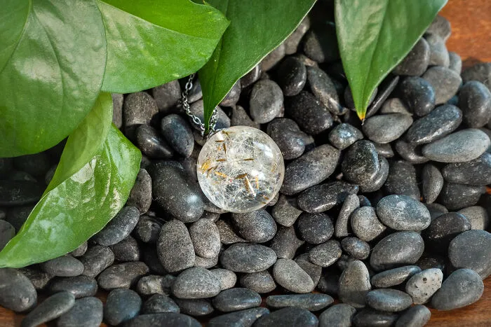 Dandelion Seeds