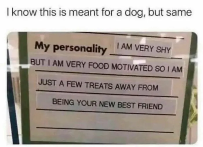 50 Memes That You Might Like If You Don’t Really Like People (New Pics)