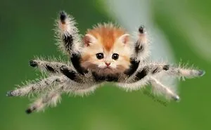 Someone Photoshops Cat Faces Onto Animals And Things, And The Results Are Disturbingly Amusing