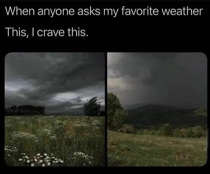 50 Memes That You Might Like If You Don’t Really Like People (New Pics)