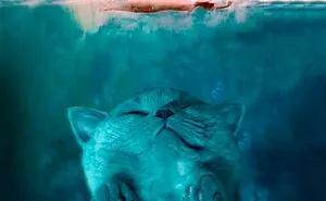 Someone Photoshops Cat Faces Onto Animals And Things, And The Results Are Disturbingly Amusing