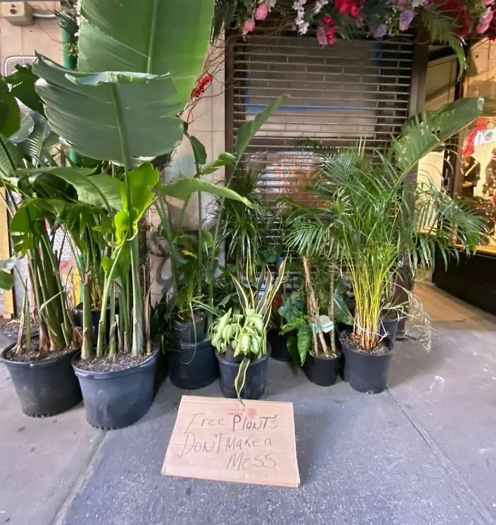 Free Plants!!!
