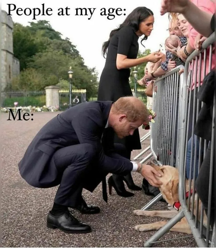 50 Memes That You Might Like If You Don’t Really Like People (New Pics)