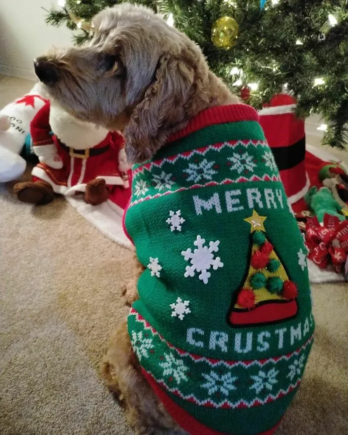 Me uno a la fiesta de los jerséis feos de Navidad