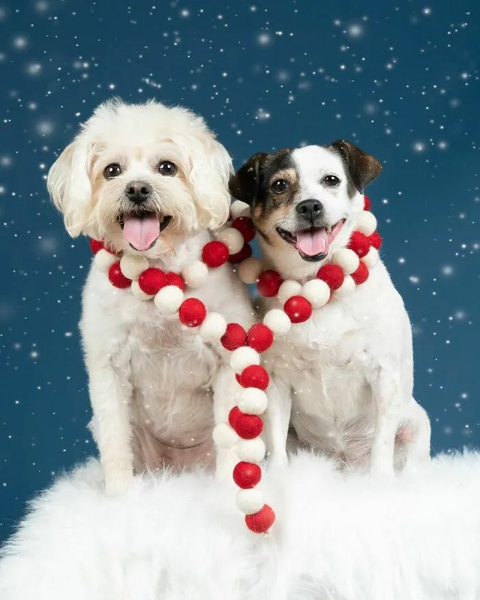 How Cute Are These Two?