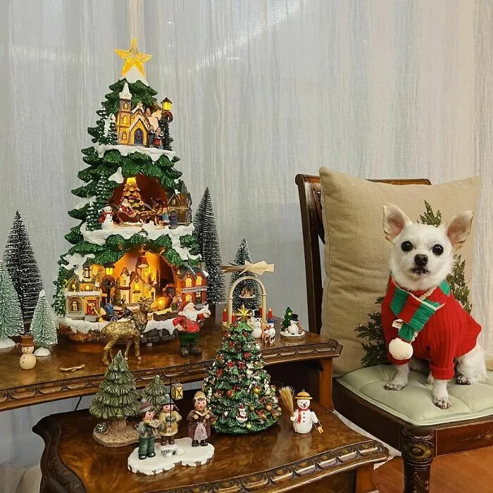 What A Classy Doggo