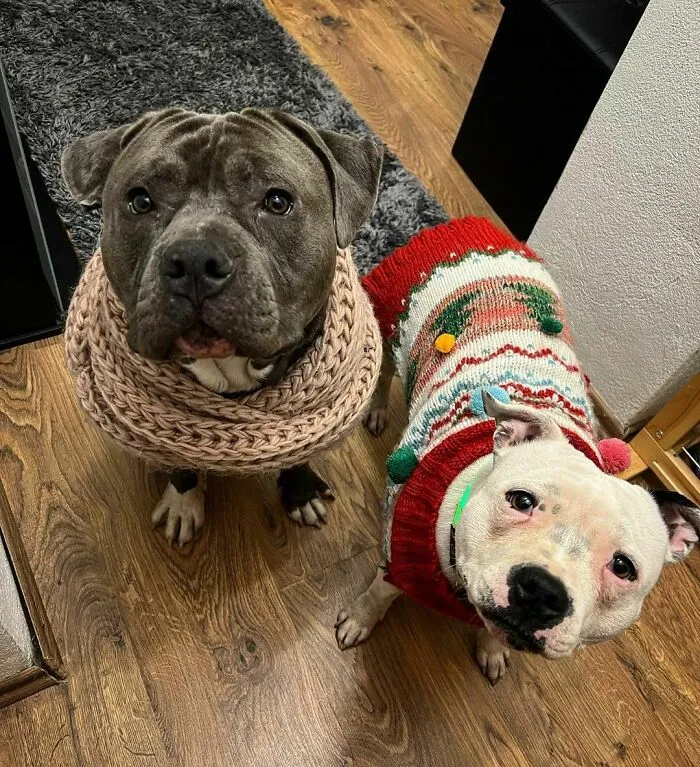It‘s Cold Outside