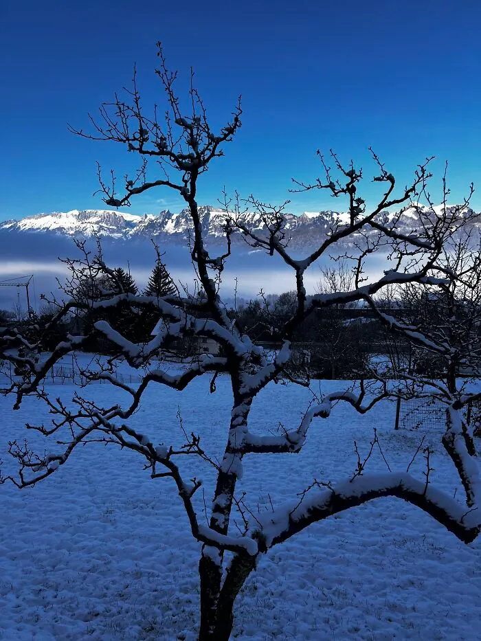 First Day Of Winter In 2022 In Vorarlberg, Austria