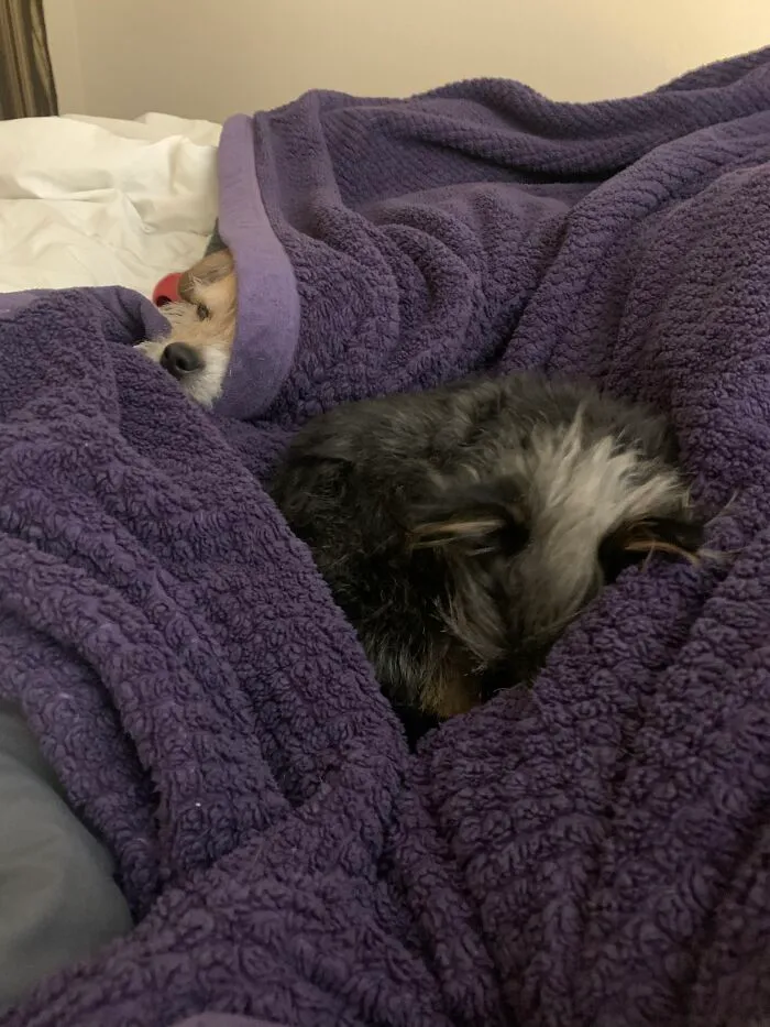 Sleepover! Max And Marty (Undercover)