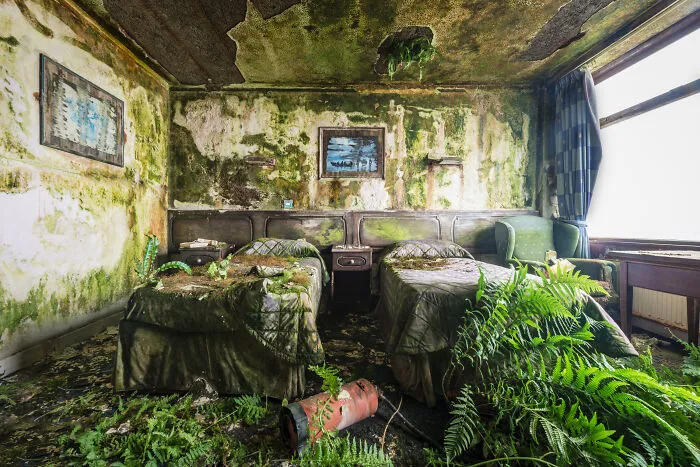 My 30 Pictures That Show The Post-Apocalyptic View Of The World If Humans Suddenly Ceased To Exist