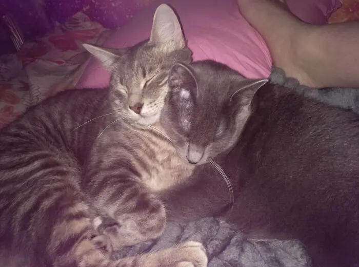 Ash And Stormy!
