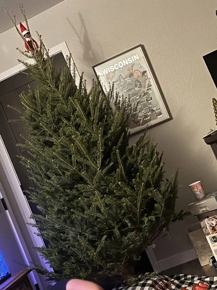 Tree Elf