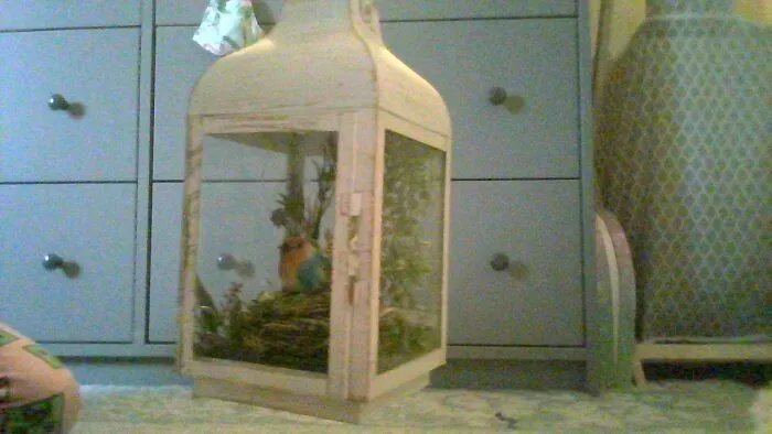 This Bird Lantern Thingy I Made