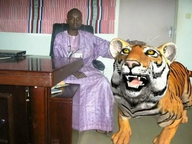 Hey Pandas, Show Us Your Funniest Photoshop Fails!