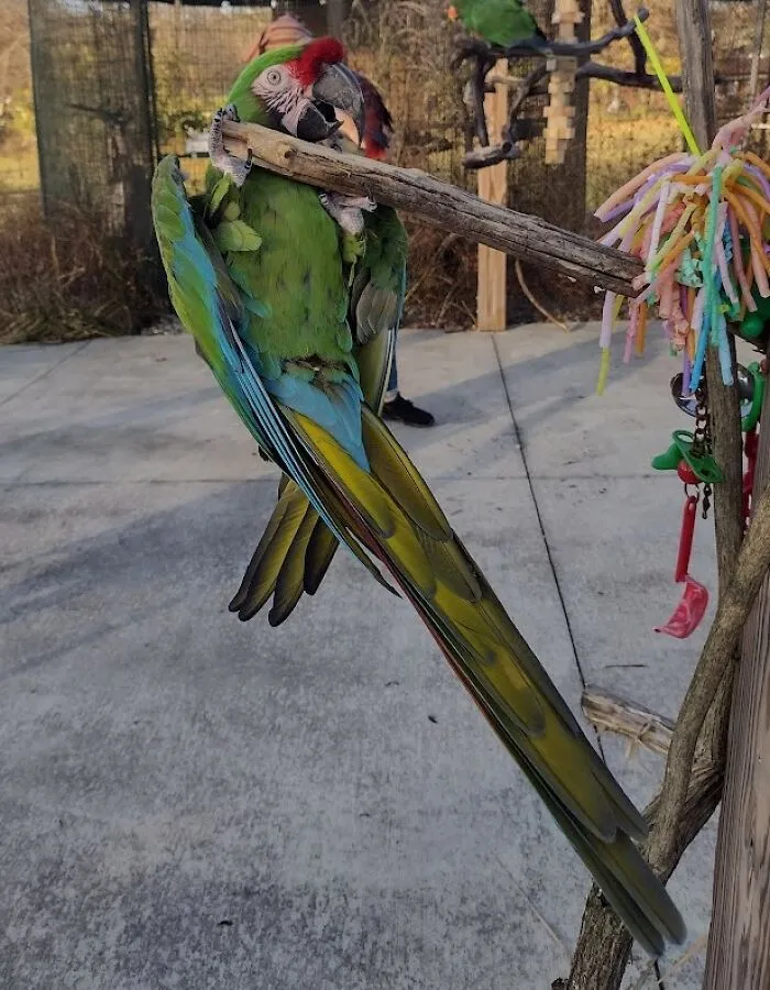 Max Wants You All To See All Of His Beautiful Colors