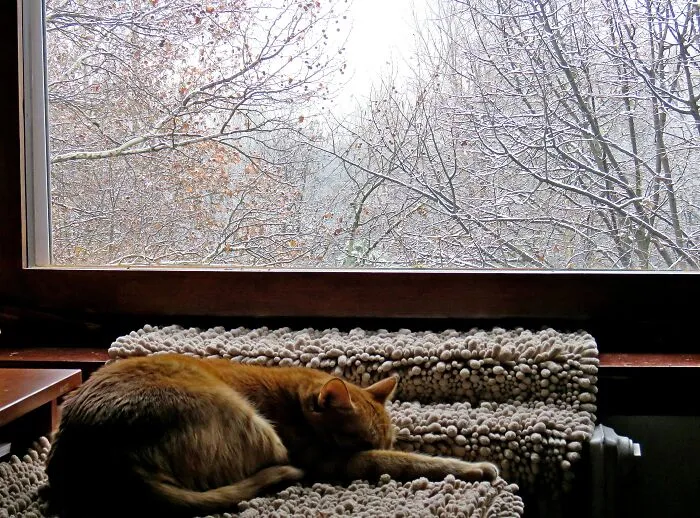 First Snow This Year
