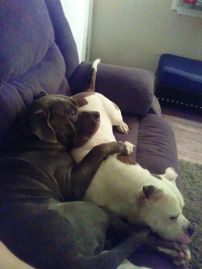 Brotherly Love!
