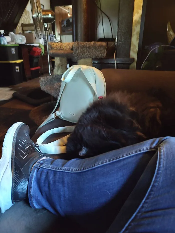 Everytime I Come Home