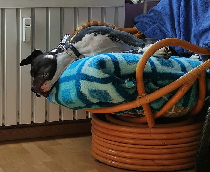 Don't Ask.... This Is How I Like To Sleep