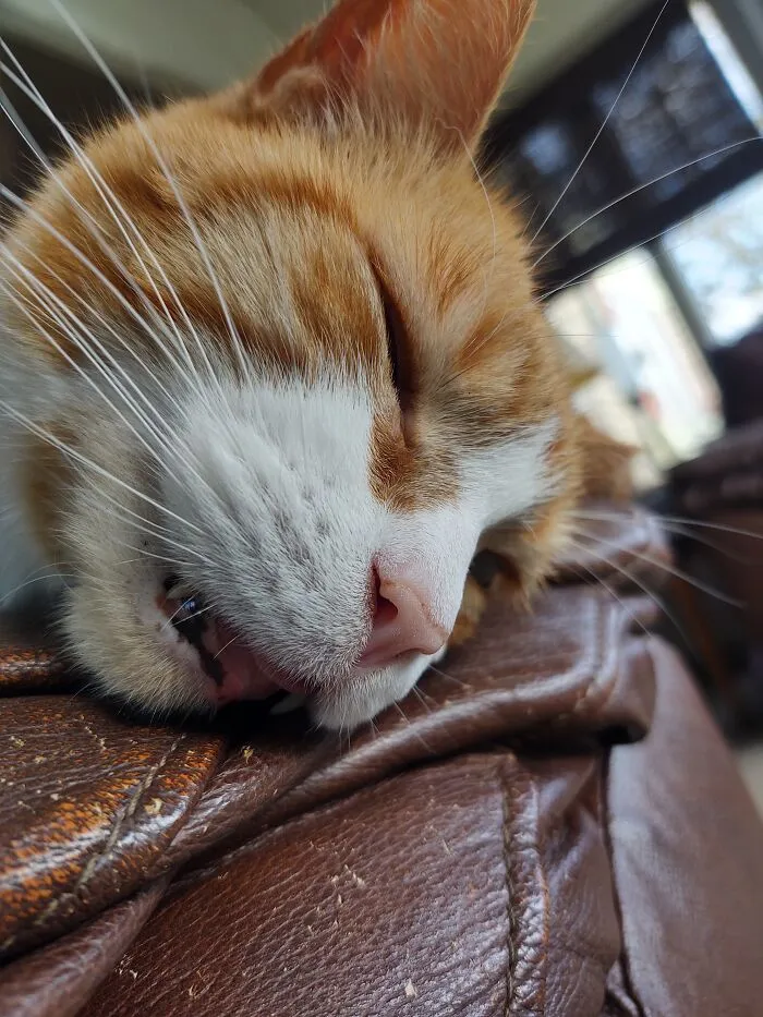 Hims Is Exhausted