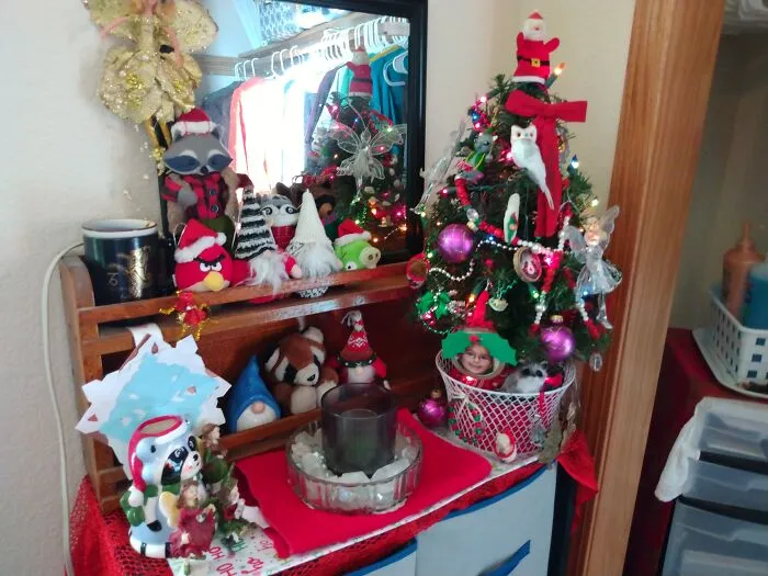 Renting A Room, So Forced To Contain My Christmas Goodness..... I Need More Christmas Stuff