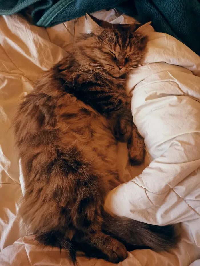Dreaming Of Summer