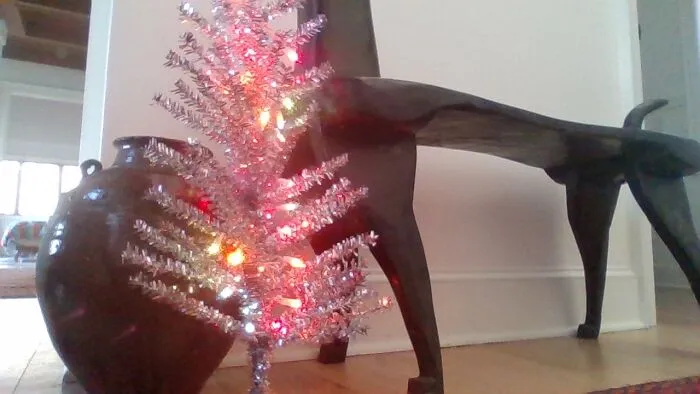 A Cute Rainbow/Gay Christmas Tree! (Sorry The Lighting Is Bad!)