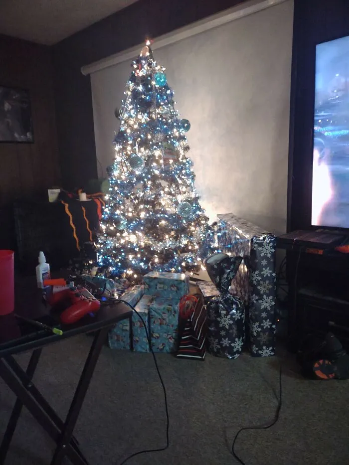 We Did Blue And Silver This Year