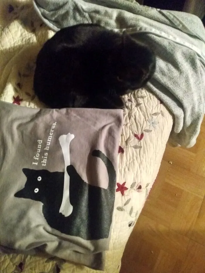 I Work In A Hospital Pathology Lab And Have A Black Cat.  Perfect!