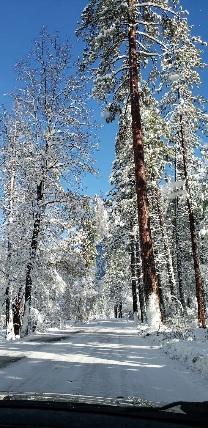 A Spontaneous Day Trip To Yosemite National Park After A Stormy Weekend
