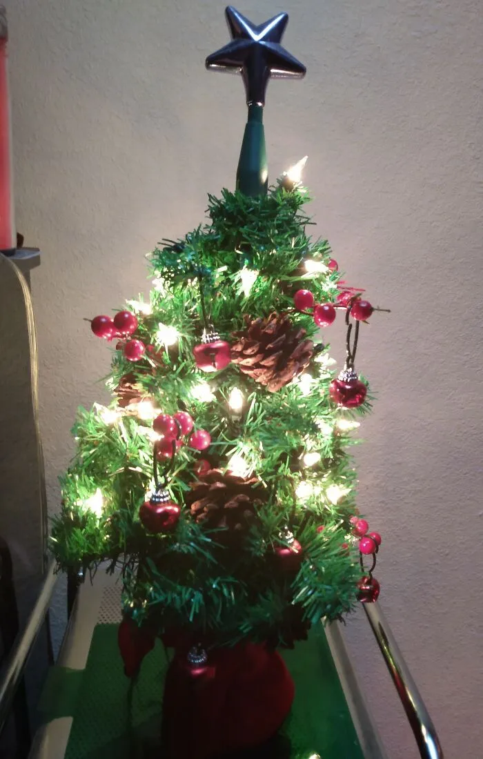 Tiny Tree !