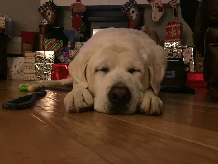 Christmas Eve