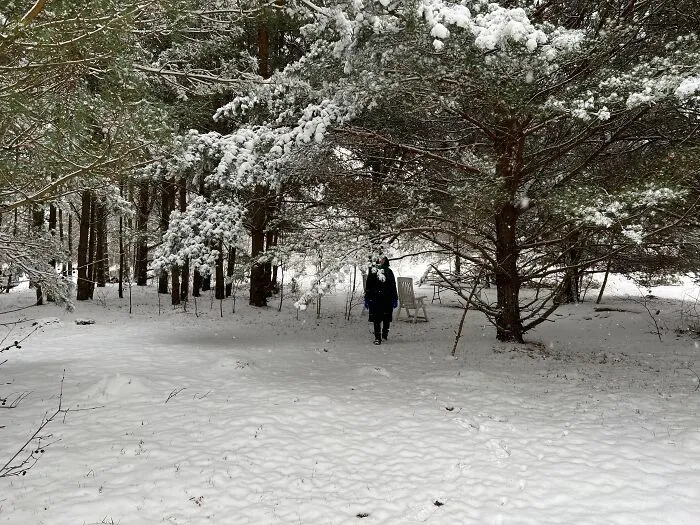 My Winter Wonderland