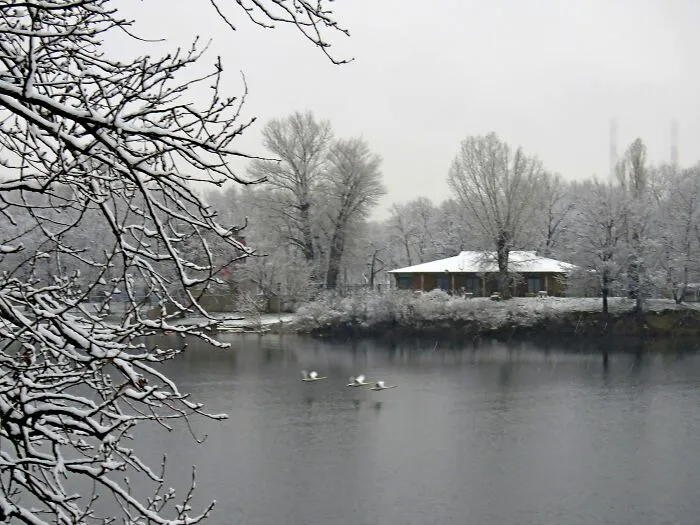 Small Lake Near My House Last Winter