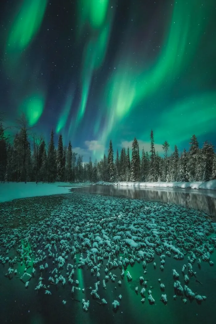 “Emerald Howl” By  Itai Monnickendam
