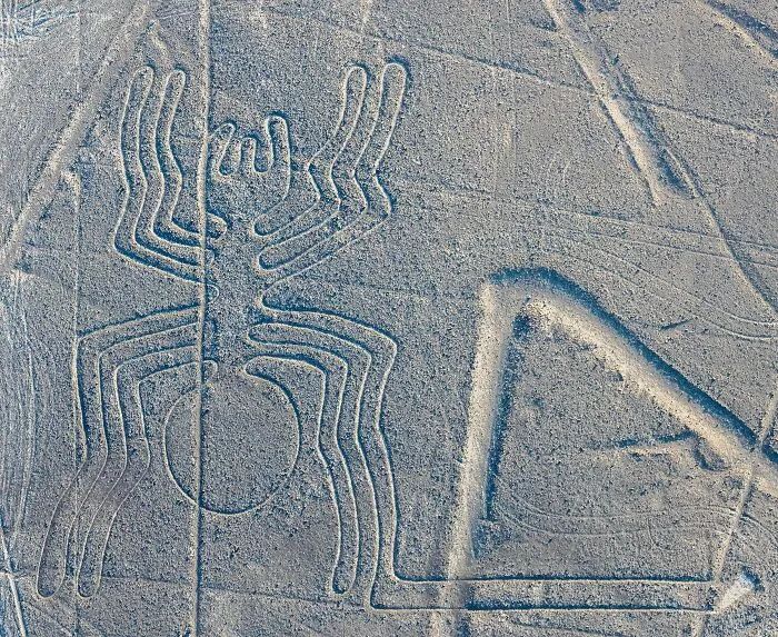 Nazca Lines geoglyph of a spider on desert terrain, showcasing important historical artifacts.