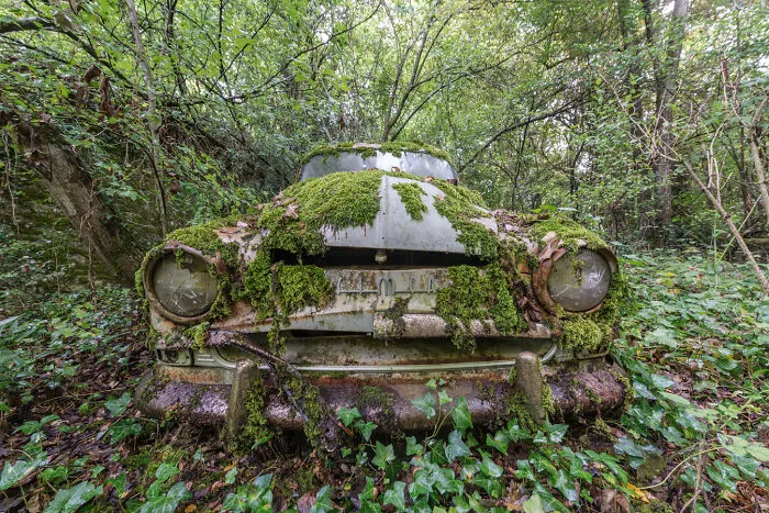 My 30 Pictures That Show The Post-Apocalyptic View Of The World If Humans Suddenly Ceased To Exist