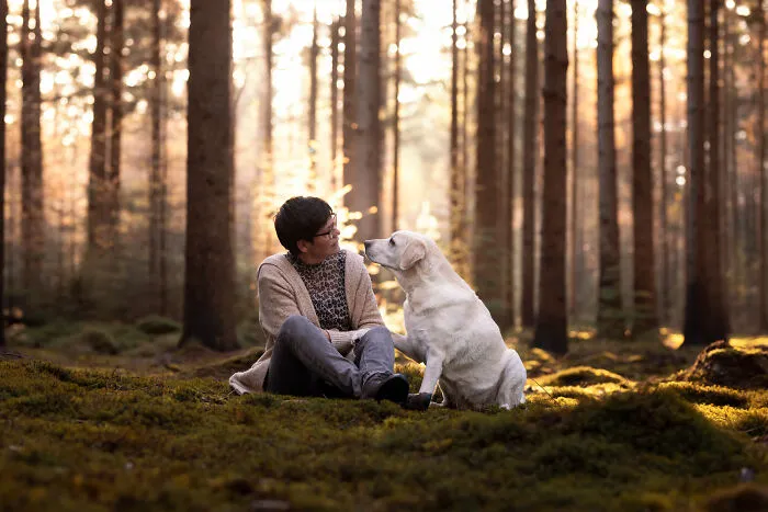I Am A Photographer Who Is Passionate About Dogs And Their Adorable Expressions In Nature; Here Are The Recent Shots I Captured (30 New Pics)