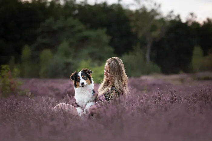 I Am A Photographer Who Is Passionate About Dogs And Their Adorable Expressions In Nature; Here Are The Recent Shots I Captured (30 New Pics)