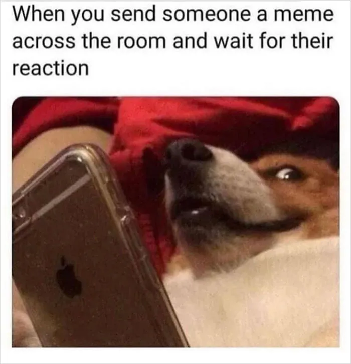 Almost 11M People Liked This Meme Page Called "Men's Humor", And Here Are 38 Of The Best Posts From It