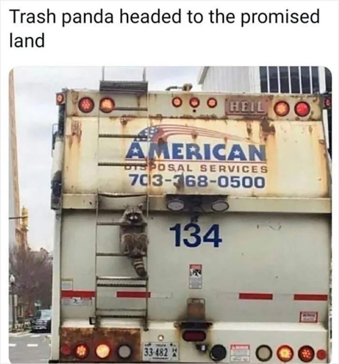 Almost 11M People Liked This Meme Page Called "Men's Humor", And Here Are 38 Of The Best Posts From It