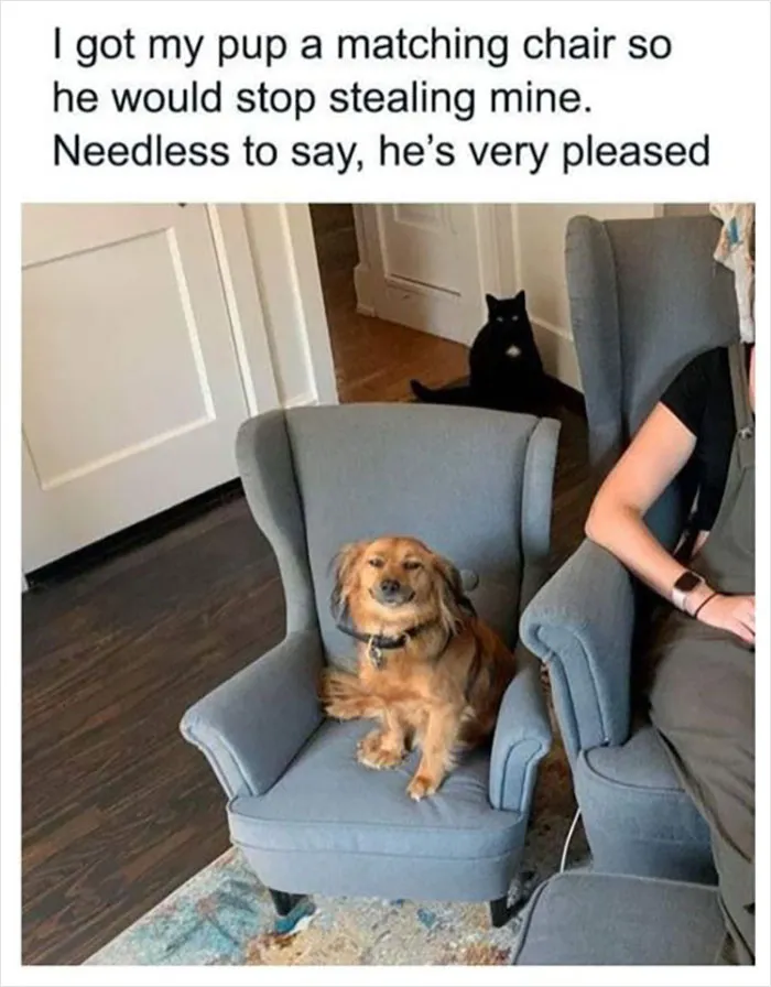 Almost 11M People Liked This Meme Page Called "Men's Humor", And Here Are 38 Of The Best Posts From It