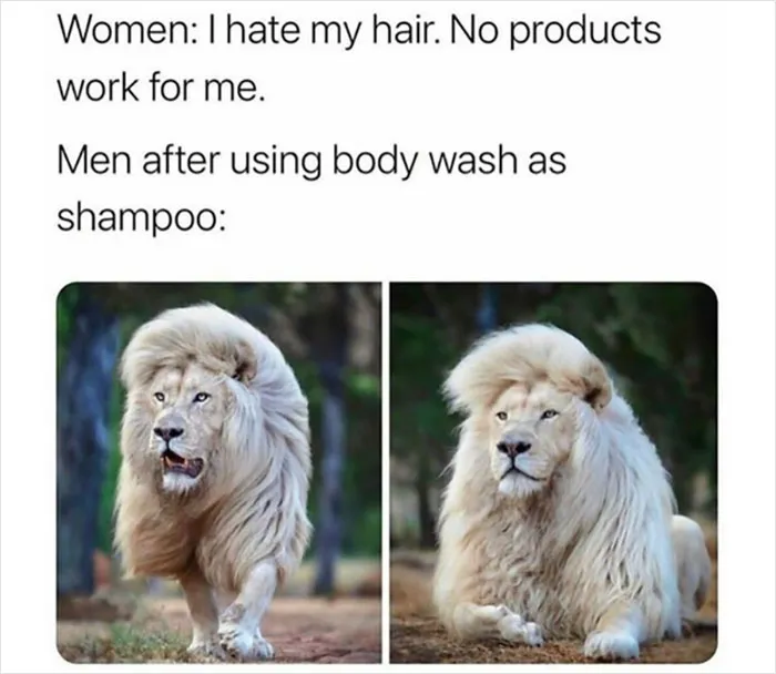 Almost 11M People Liked This Meme Page Called "Men's Humor", And Here Are 38 Of The Best Posts From It
