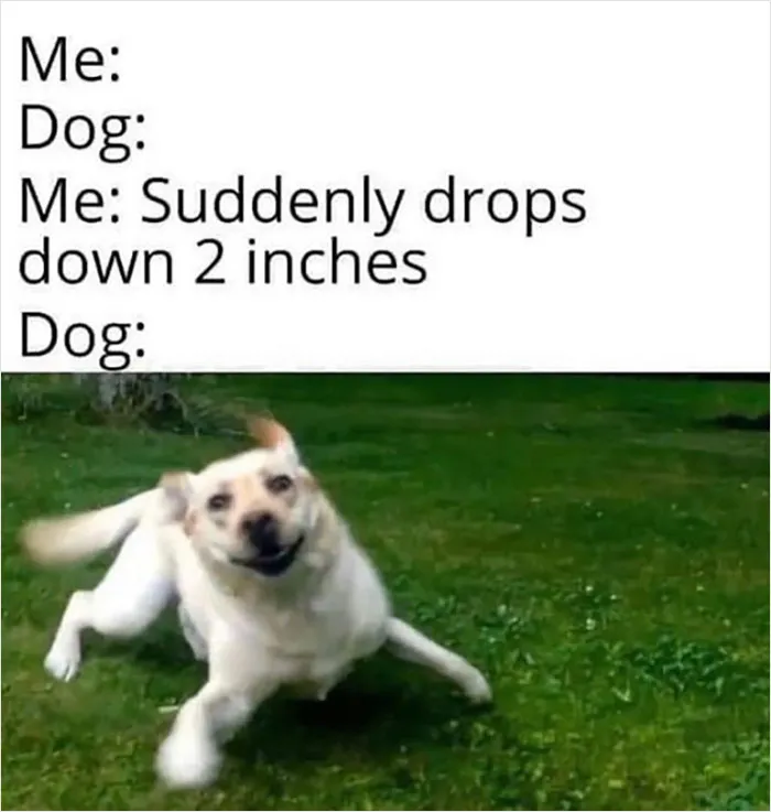 Almost 11M People Liked This Meme Page Called "Men's Humor", And Here Are 38 Of The Best Posts From It