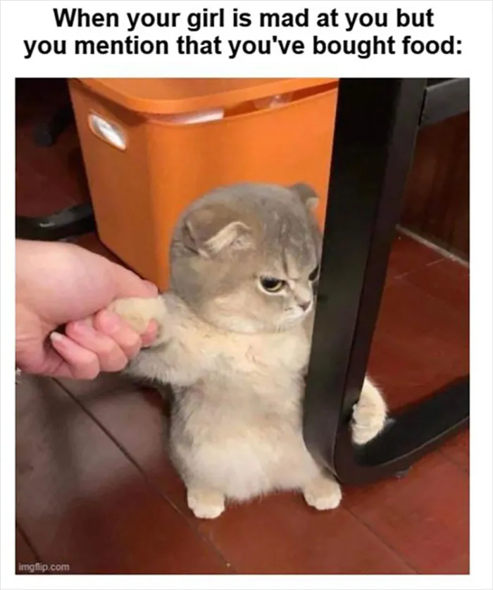 Almost 11M People Liked This Meme Page Called "Men's Humor", And Here Are 38 Of The Best Posts From It