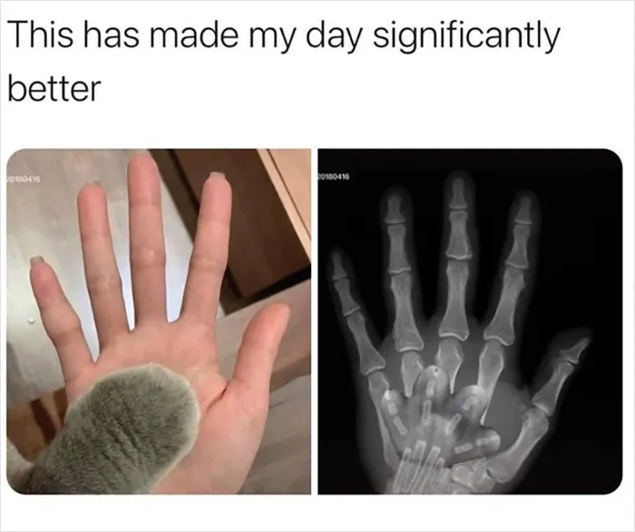 Almost 11M People Liked This Meme Page Called "Men's Humor", And Here Are 38 Of The Best Posts From It