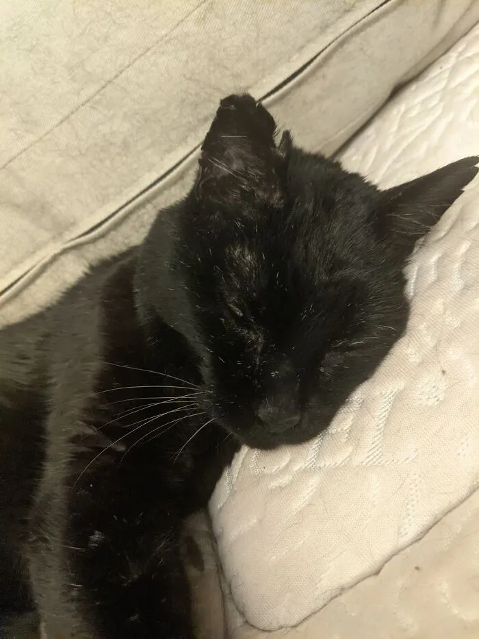 Evander In Repose